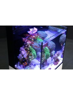 Aquário Nano MAX 2