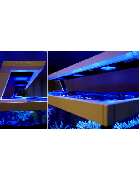 Aquários Max S-Series