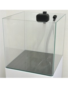 Aquários Open Reef Experience