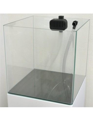 Aquários Open Reef Experience