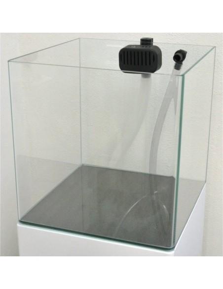 Aquários Open Reef Experience