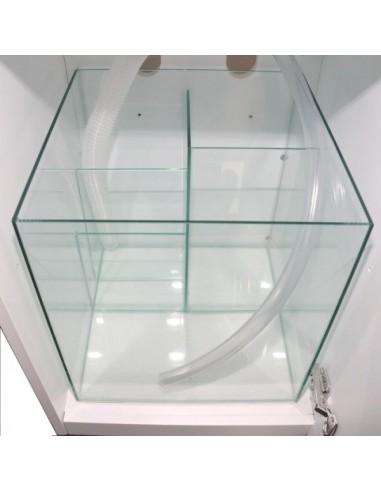 Aquários Open Reef Experience