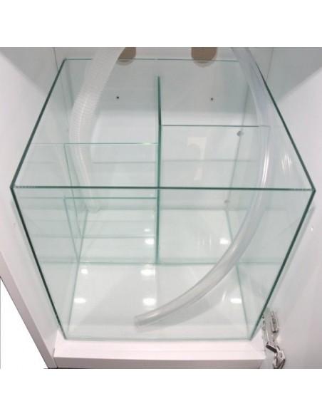 Aquários Open Reef Experience