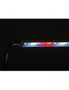 Iluminação Pico Lumina