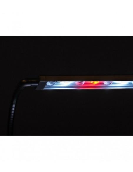 Iluminação Pico Lumina