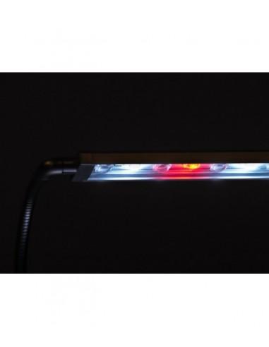 Iluminação Pico Lumina