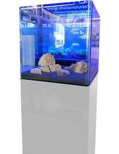 Conjunto Open Reef 4545