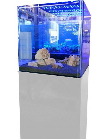 Conjunto Open Reef 4545