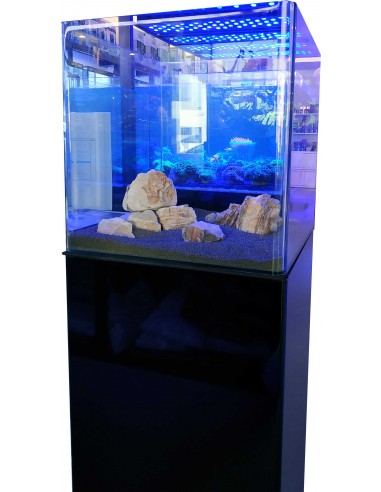 Conjunto Open Reef 4545