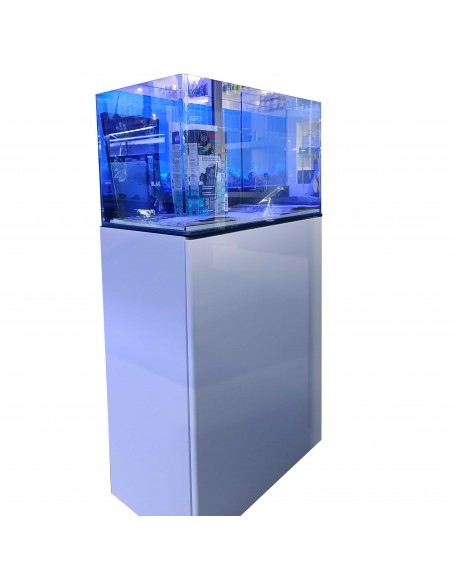 Conjunto Gan Cubic Marinho