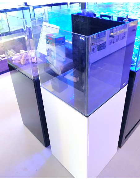 Conjunto All in One Marinho