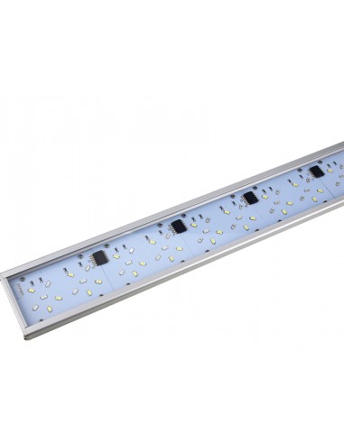 Iluminação Mini Lumina