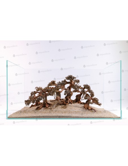 Bonsai de Garra