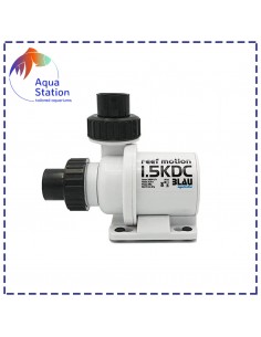 Bomba Reef Motion DC