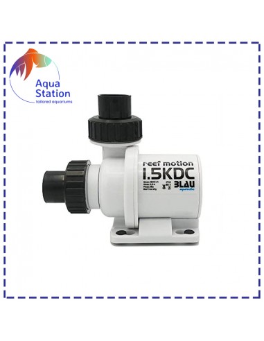 Bomba Reef Motion DC