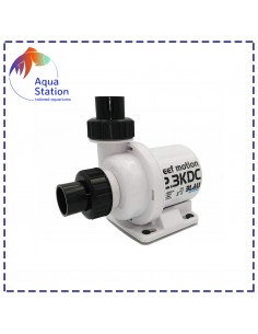 Bomba Reef Motion DC 2