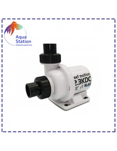 Bomba Reef Motion DC