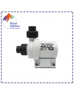 Bomba Reef Motion DC 2