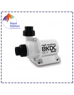 Bomba Reef Motion DC 2