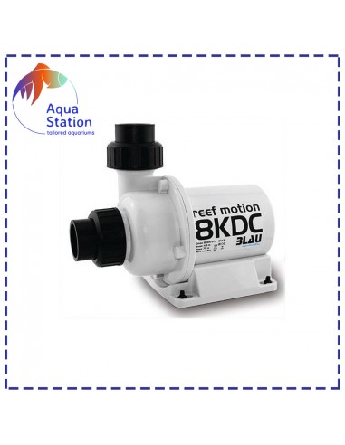 Bomba Reef Motion DC