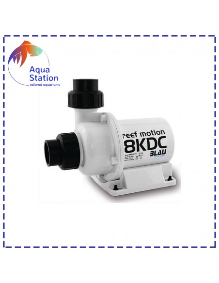 Bomba Reef Motion DC