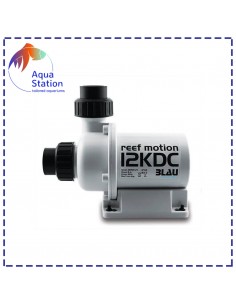 Bomba Reef Motion DC 2
