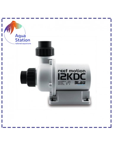 Bomba Reef Motion DC