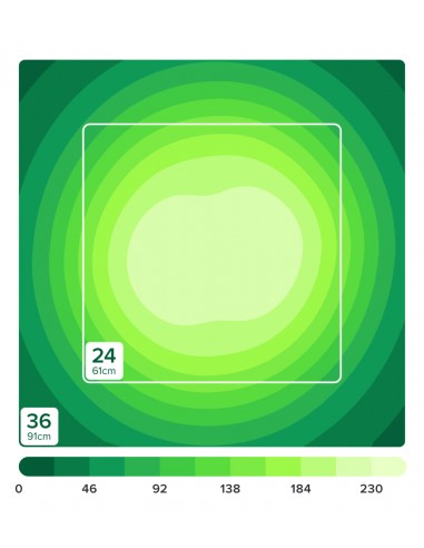 Iluminação Hydra 32HD/64HD