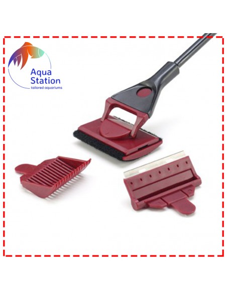 Raspador de algas Blau (3 peças limpeza)