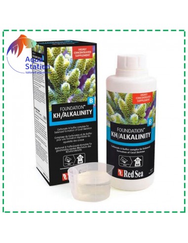 REEF FOUNDATION B (ALK)