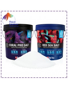 Sal CORAL REEF