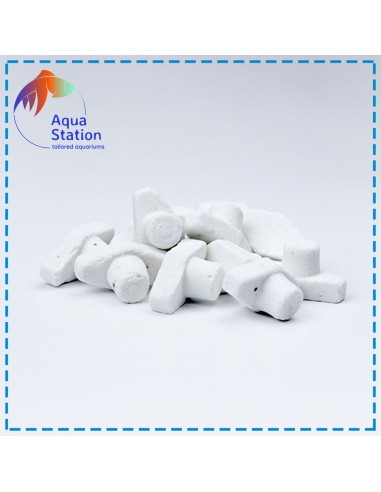 Plugs para Corais 12 unid.