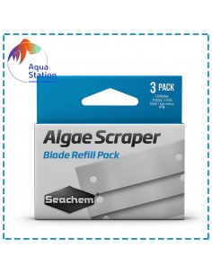Reposição esponja Algae Scraper. Pack 3 unid.
