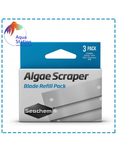 Reposição esponja Algae Scraper. Pack 3 unid.