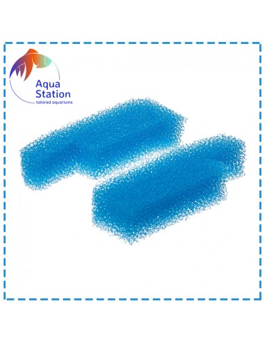 Tidal Foamex (2 pack)