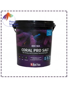 Sal CORAL REEF Pro 2