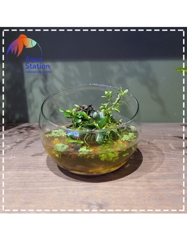 Wabikusa-station Green Rock