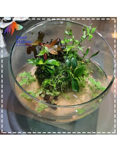 Wabikusa-station Green Rock