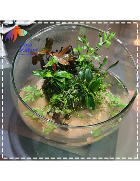 Wabikusa-station Green Rock