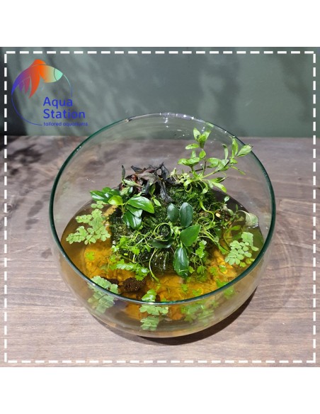 Wabikusa-station Green Rock