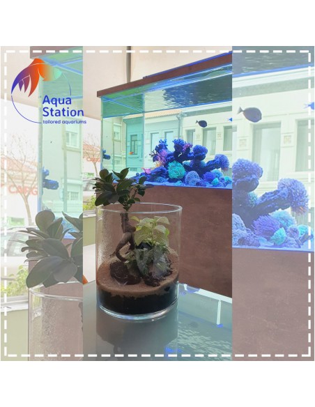 Wabikusa-station Fiscus