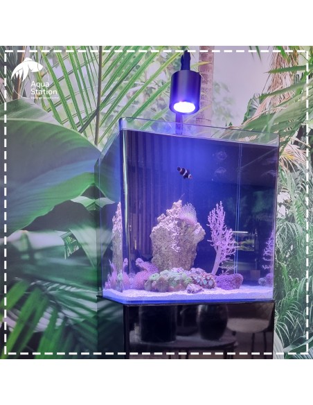 Set All In One - Marine Water Black 91L