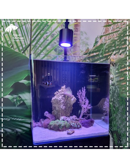 Set All In One - Marine Water Black 91L