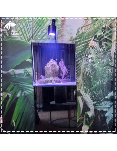 Set All In One - Marine Water Black 91L