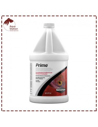 Condicionador Seachem Prime