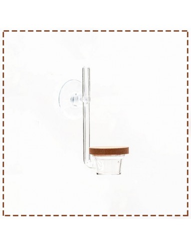 Aquário Conjunto 90 X 60 X 45