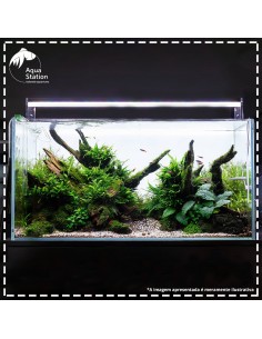 Aquário Conjunto 90 X 60 X 45