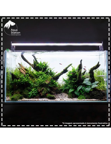 Aquário Conjunto 90 X 60 X 45