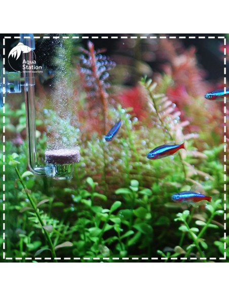 DIFUSOR CO2 TWINSTAR