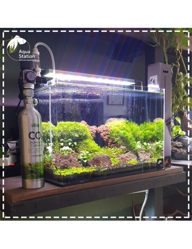 Set All In One Aquário Greenday